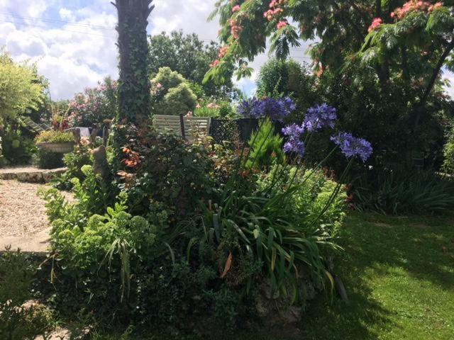 Chez Brown Bed & Breakfast Saint-Thomas-de-Conac ภายนอก รูปภาพ