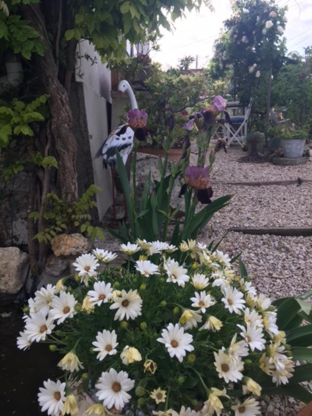 Chez Brown Bed & Breakfast Saint-Thomas-de-Conac ภายนอก รูปภาพ